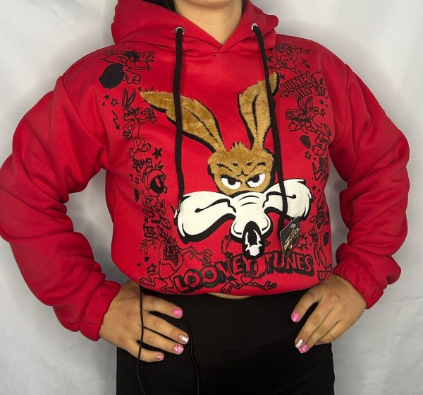 SUDADERA ESTAMPADA PARA DAMA - Imagen 3